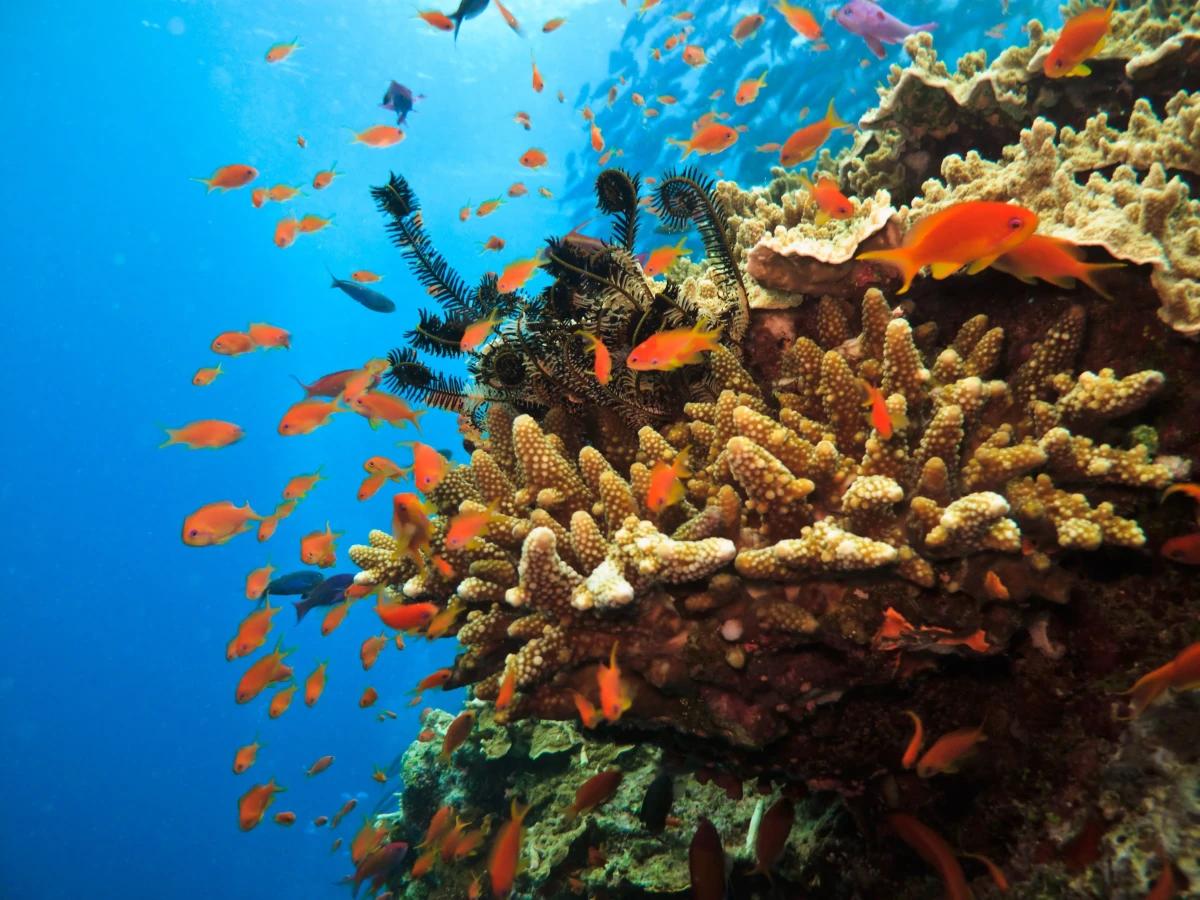 https://media.leisurecom.com/cruise/image-2025-06-11-10-14-01.webp