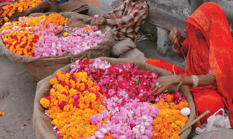Kolkata and Lower Ganges Cruise