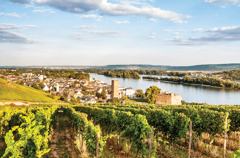 Magnificent Europe