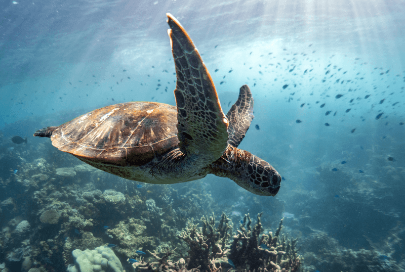 Kimberley Coastal Expedition with West Coast Explorer