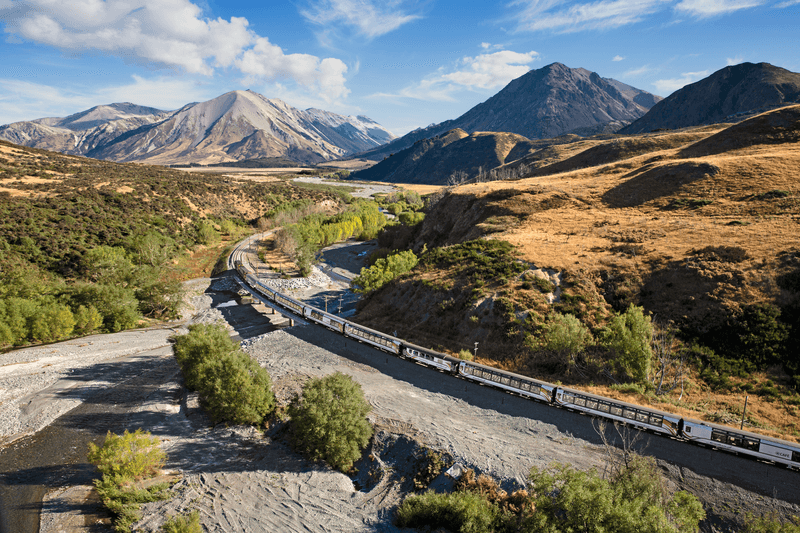 New Zealand Rail and Cruise Discovery