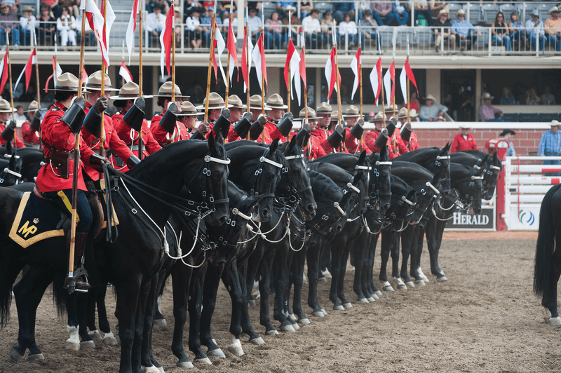 Calgary Stampede, Rockies and Alaska Cruise