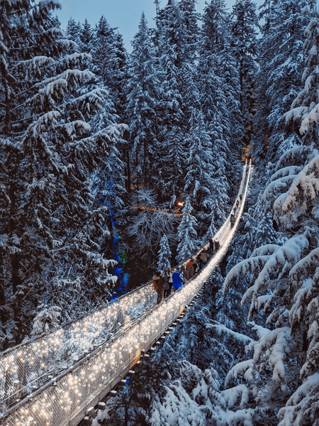 Festive Wonders