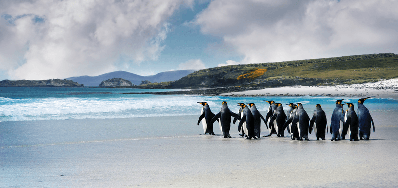 Highlights of South America and Chilean Fjords Cruise