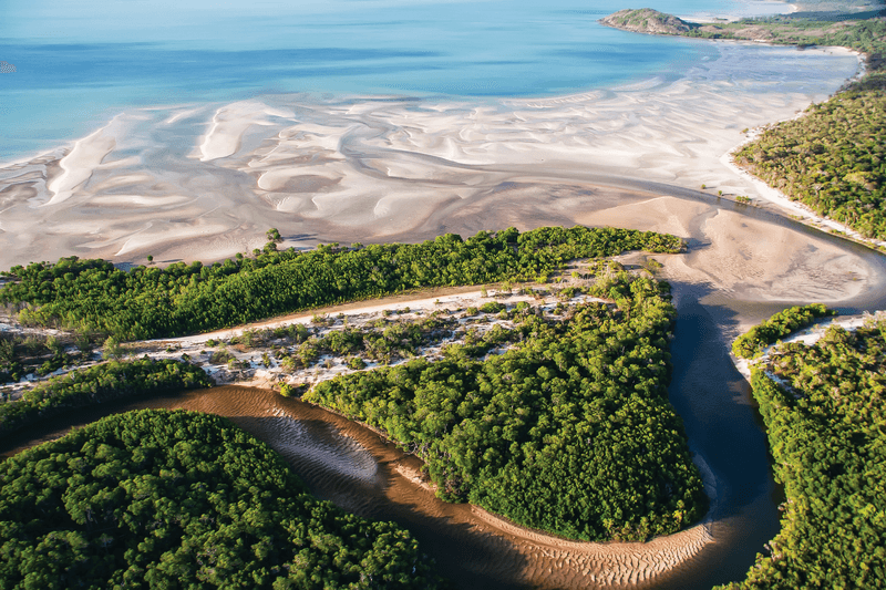 Cape York and Tropical North by 4WD