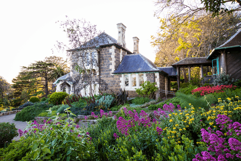 Exclusive to Diggers Club Members: Diggers Club Gardens in Spring