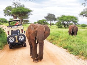 Taste of Tanzania