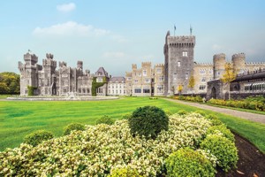Irish Elegance