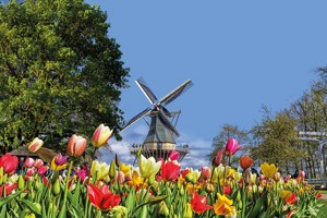 Country Roads of Belgium, Luxembourg & the Netherlands