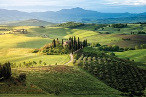 Country Roads of Italy
