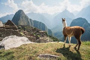 Peru Explorer
