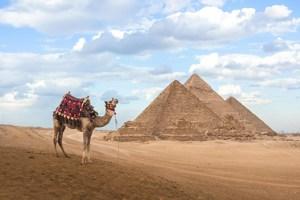Footsteps of the Pharaohs